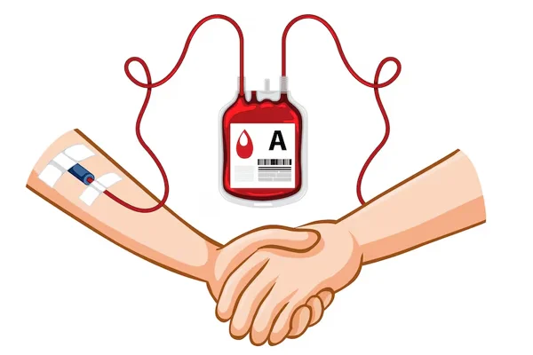 Blood Transfusion Services